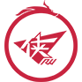Team Vitality
